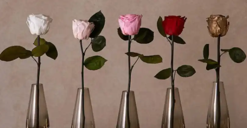 FLORENTINA GLASS VASE